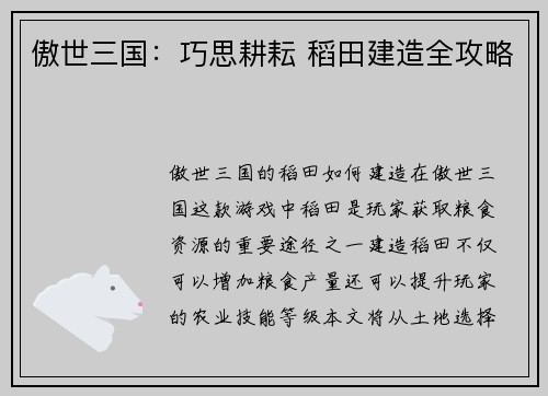 傲世三国：巧思耕耘 稻田建造全攻略